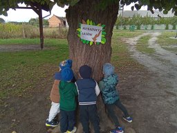 2025-09-18 Przytul się do drzewa